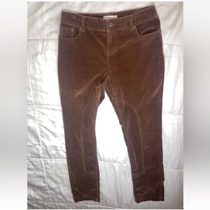 Brown Velour Riding Pants
